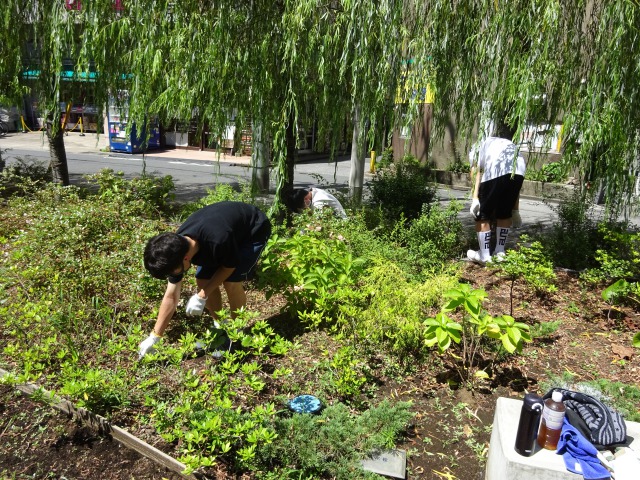 花壇ボランティア