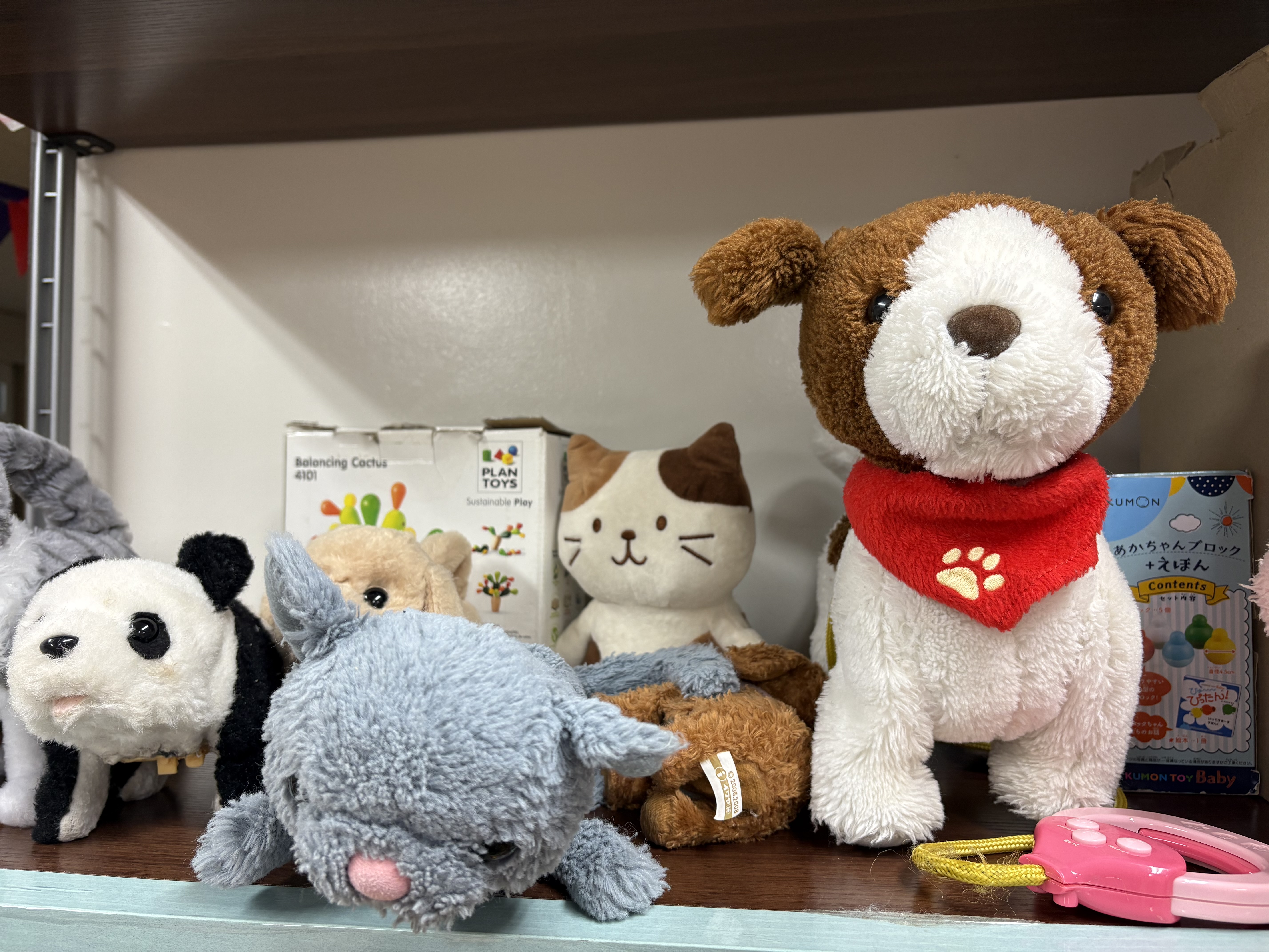 ボールテントのイメージ