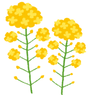 06.png